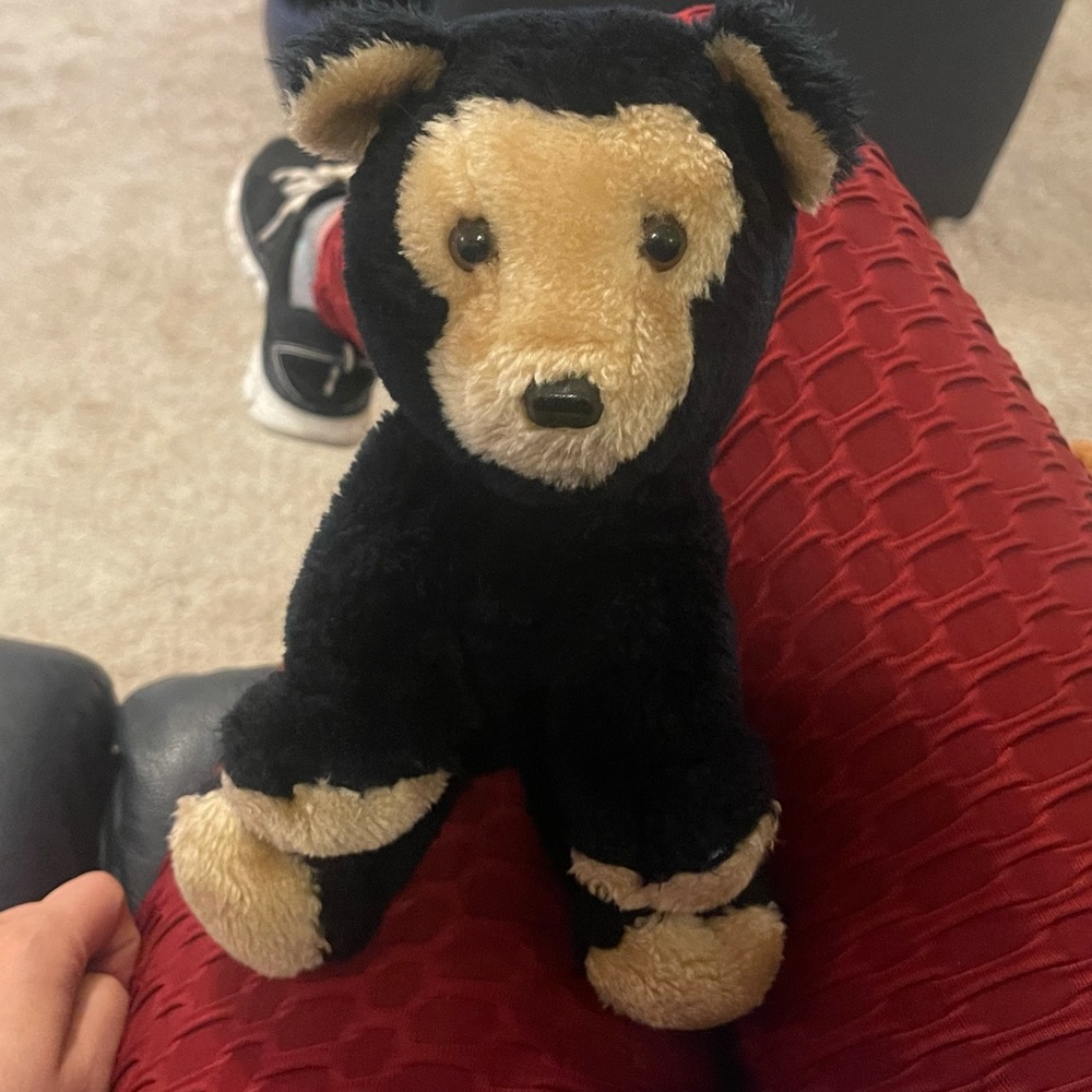 RARE R DAKIN 1982 plush black bear🖤❤️💕